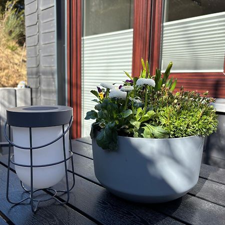 Dein Winterberg Apartment - Wifi Geschirrspueler Smart Tv Δωμάτιο φωτογραφία